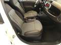 Fiat Panda TwinAir Cross 4x4 (( gancio traino )) da € 297 Bianco - thumbnail 9