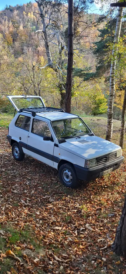 Fiat Panda 1.1 4x4 - 1