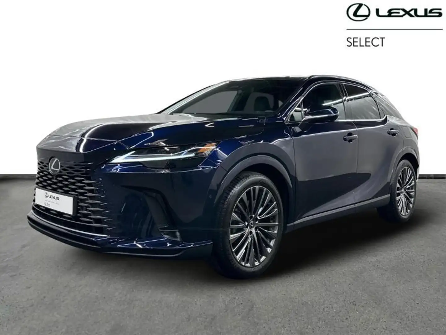 Lexus RX 450h PHEV Privilege Line Bleu - 1