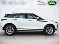 Land Rover Range Rover Evoque 2,0 D150 S Aut. Weiß - thumbnail 4