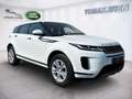 Land Rover Range Rover Evoque 2,0 D150 S Aut. Weiß - thumbnail 3