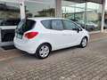 Opel Meriva Meriva 1.4 Advance (elective) 100cv Blanco - thumbnail 5