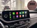 Lexus ES 300 300 h 1 BESITZ Grau - thumbnail 47