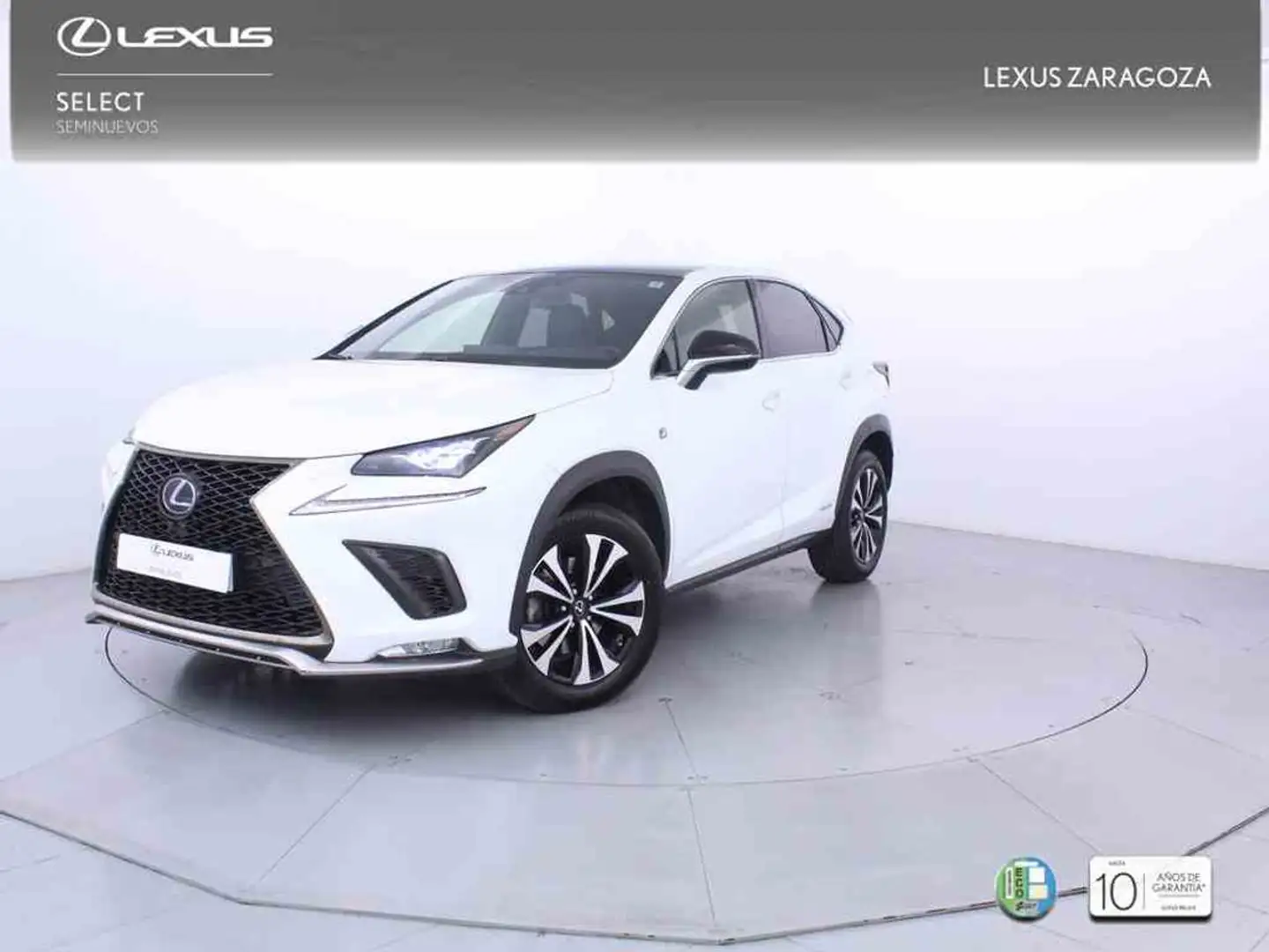 Lexus NX 300h 2.5 F Sport Panorámico 4WD Blanco - 1