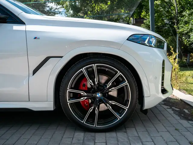 BMW X6 view 10