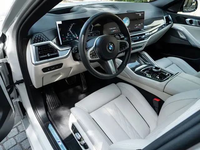 BMW X6 view 11