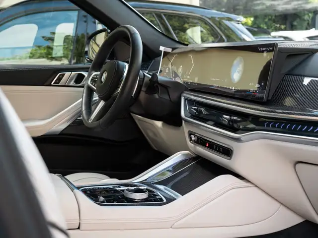 BMW X6 view 15