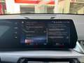 BMW iX1 xDrive30 Launch Edition 67 kWh Gris - thumbnail 21