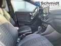 Ford Puma 1,0 EcoBoost Hybrid ST-Line Aut. Szürke - thumbnail 12