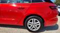 Renault Megane IV 1.3 TCe Grandtour Business Edition** Rot - thumbnail 6