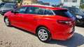 Renault Megane IV 1.3 TCe Grandtour Business Edition** Rot - thumbnail 4