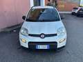 Fiat Panda 1.0 FireFly S&S Hybrid City Life GPL Bianco - thumbnail 8