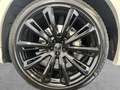 Audi Q8 50 TDI QUATT S LINE HD-MATRIX+PANO+AHK+RAUTE+ Beige - thumbnail 8