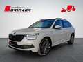Skoda Kamiq Clever 1.0 TSI Klima LED Pano Dach Grau - thumbnail 3