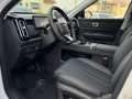 Jaecoo J7 Jaecoo 7 1.5 TGDI 347 CV PHEV Premium Alb - thumbnail 8