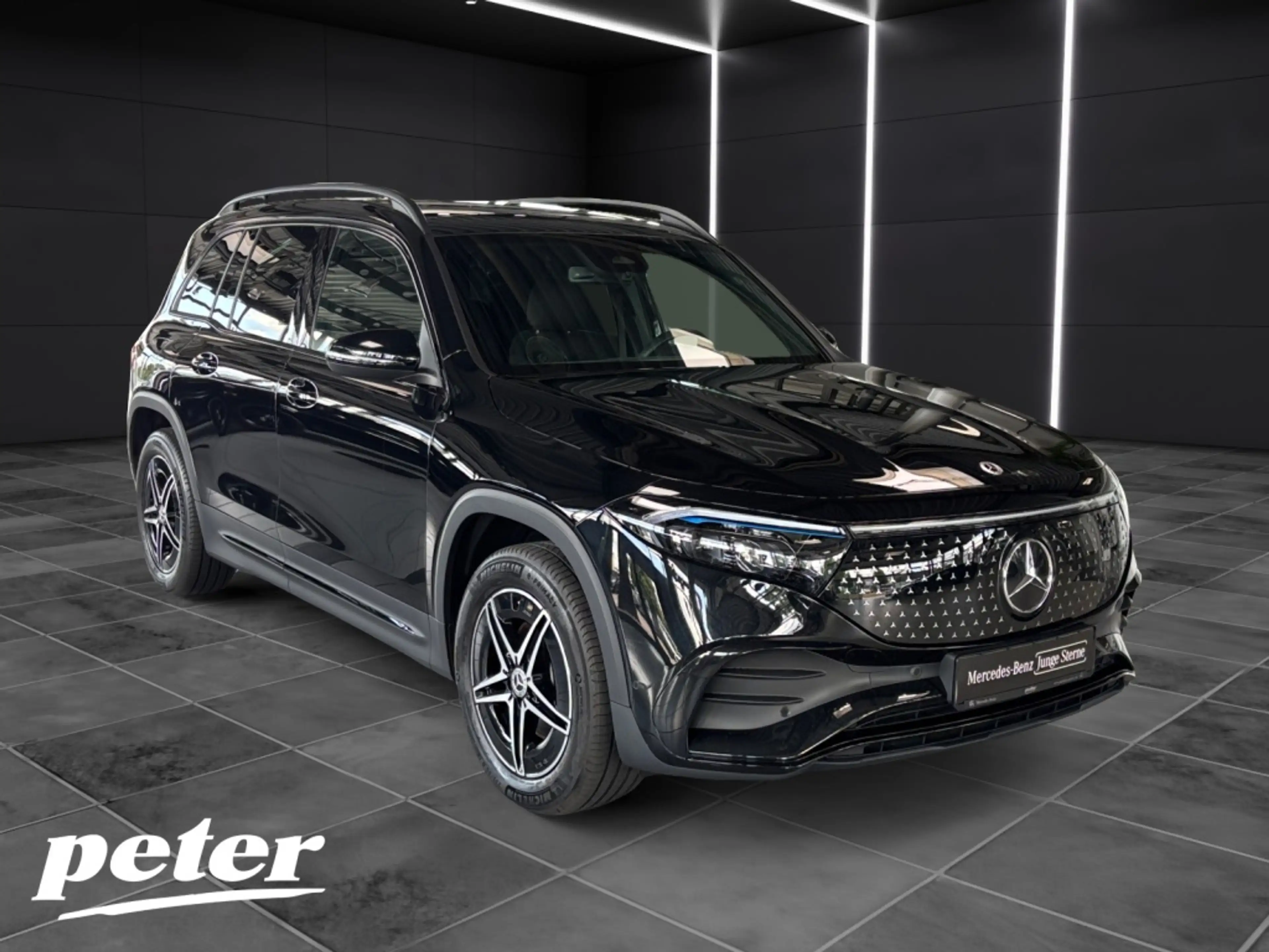 Mercedes-Benz EQB 250 + AMG*Night*LED*Panorama-SD*Kamera*AHK* — photo 4
