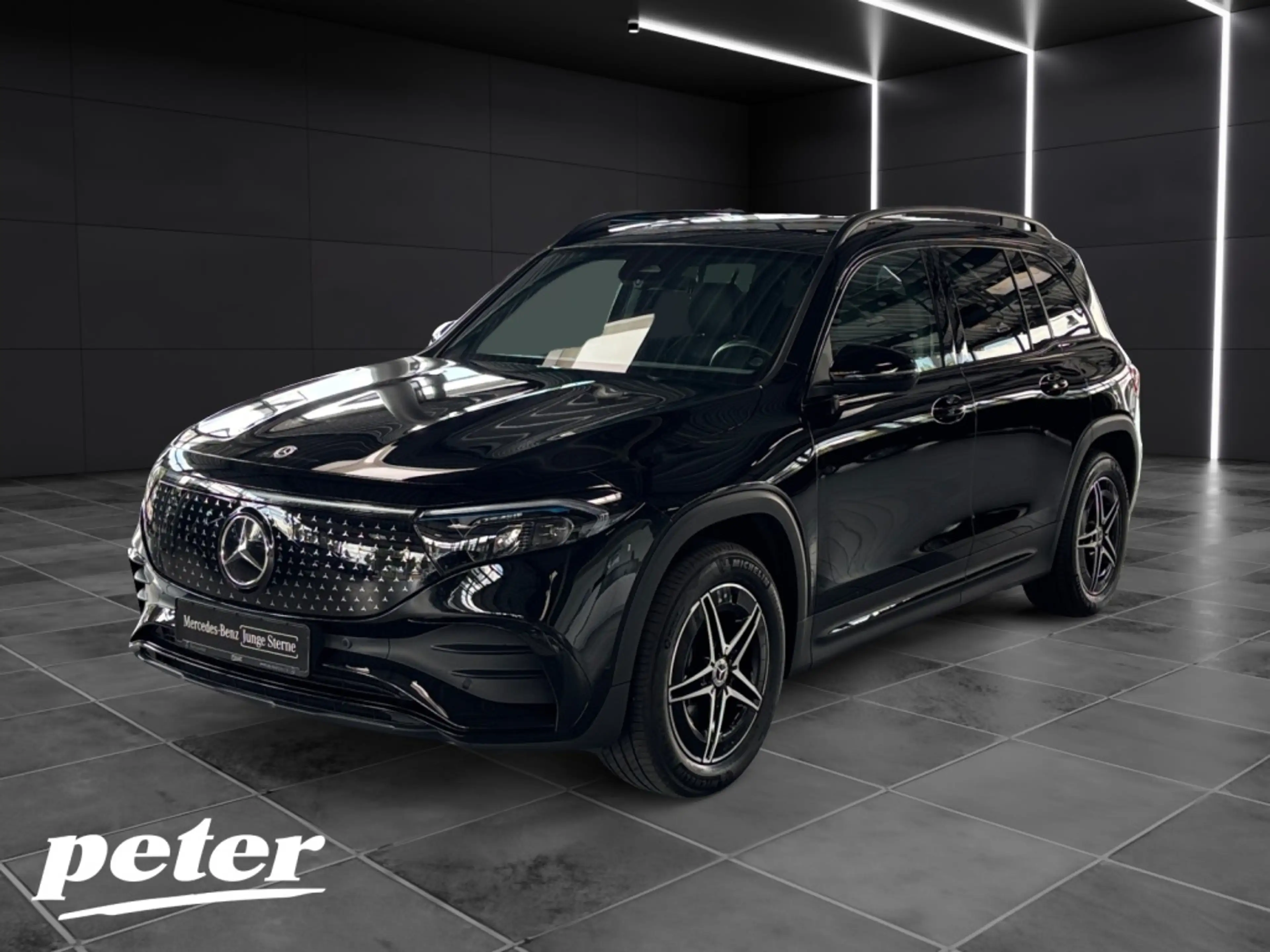 Mercedes-Benz EQB 250 + AMG*Night*LED*Panorama-SD*Kamera*AHK*