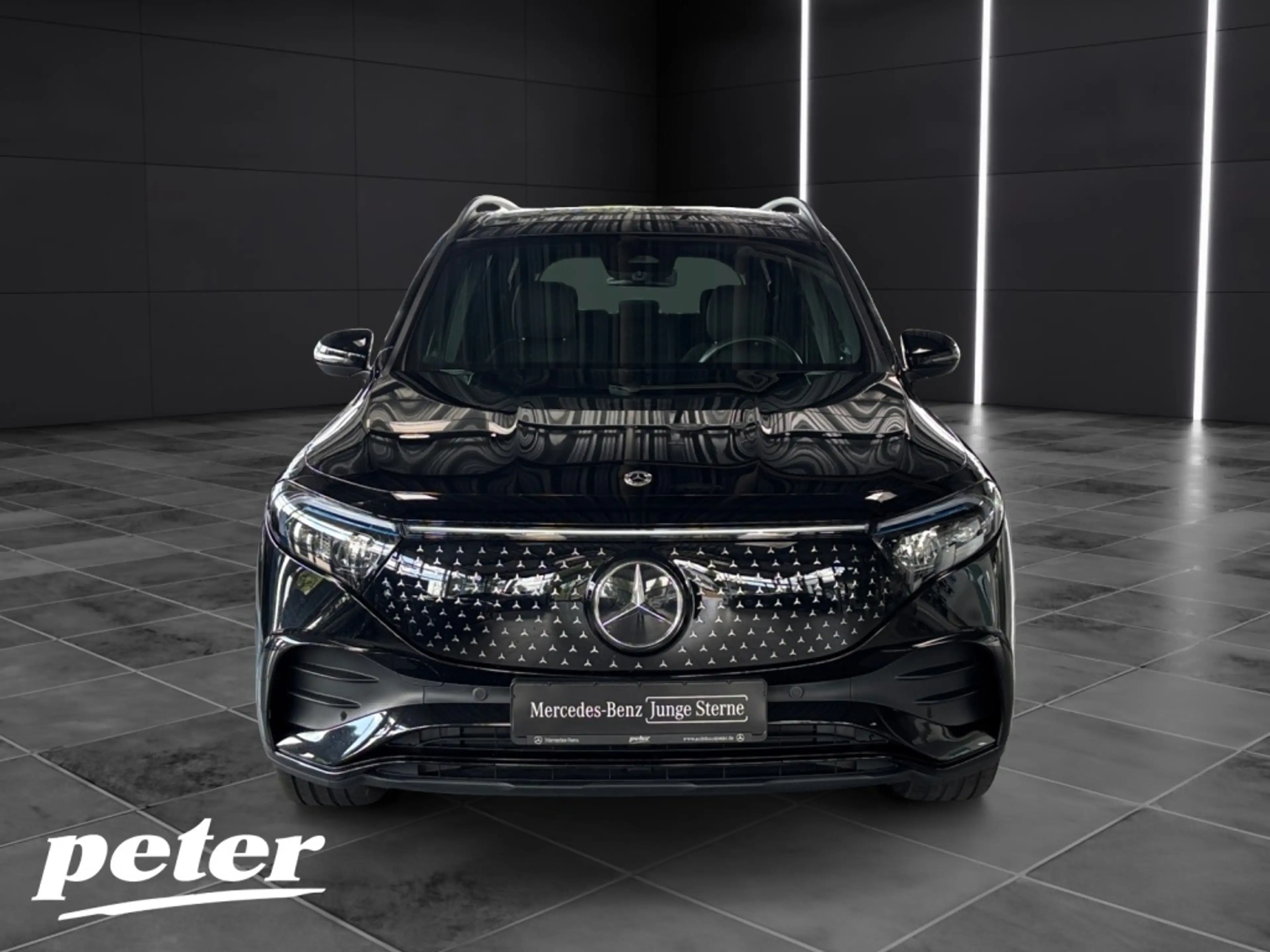 Mercedes-Benz EQB 250 + AMG*Night*LED*Panorama-SD*Kamera*AHK* — photo 3
