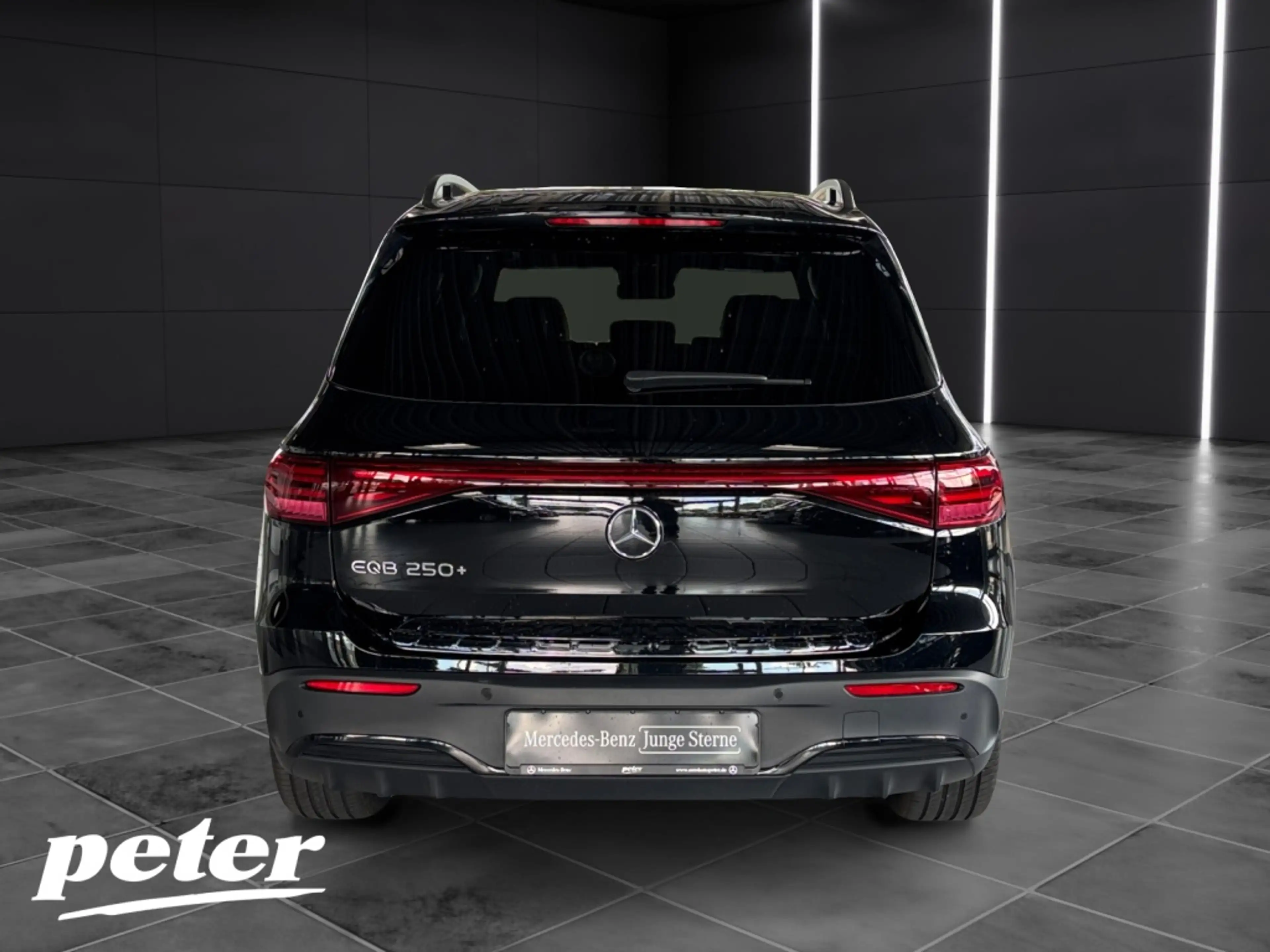 Mercedes-Benz EQB 250 + AMG*Night*LED*Panorama-SD*Kamera*AHK* — photo 5