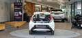Toyota Aygo 1.0 VVT-i *Kamera*Bluetooth*Sportsitze* Weiß - thumbnail 8