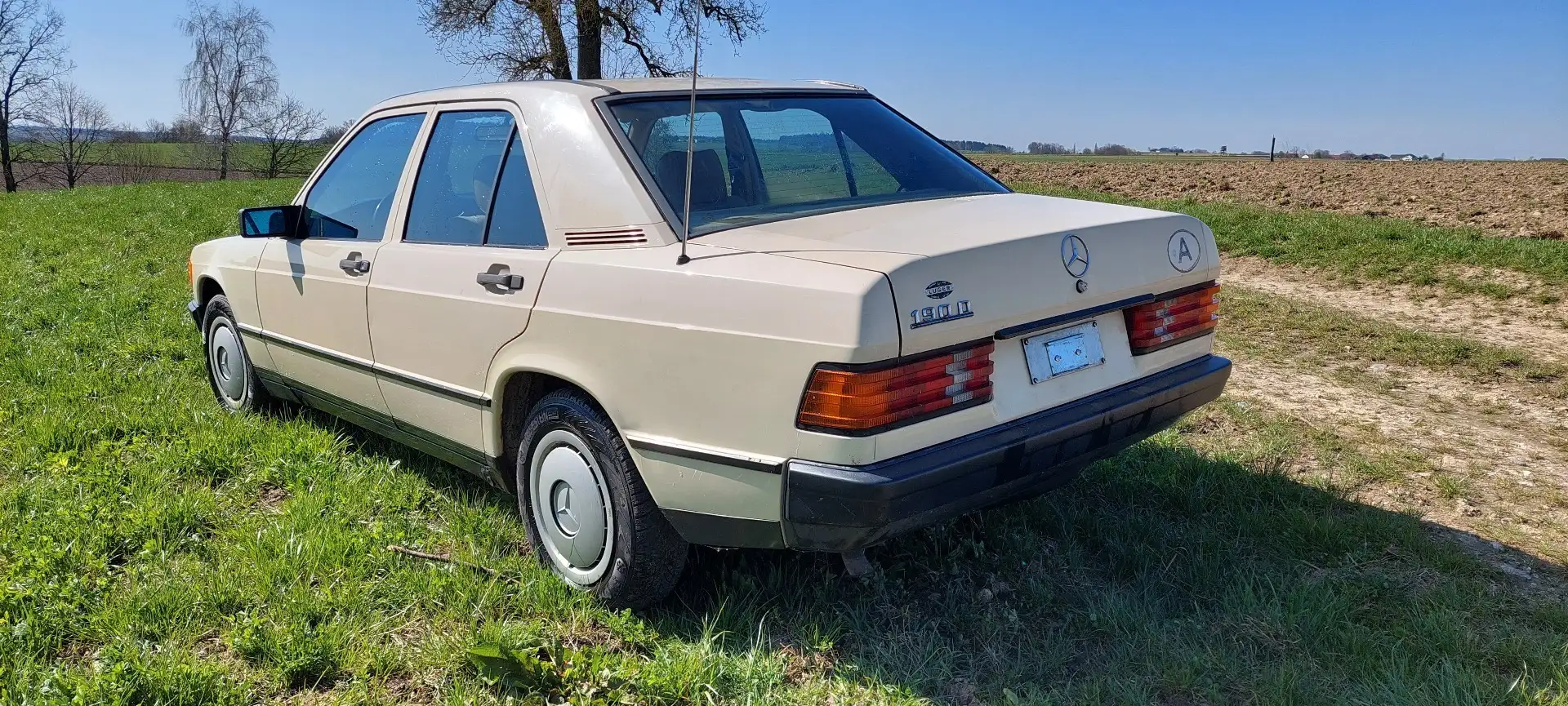 Mercedes-Benz 190 D Ds. - 2