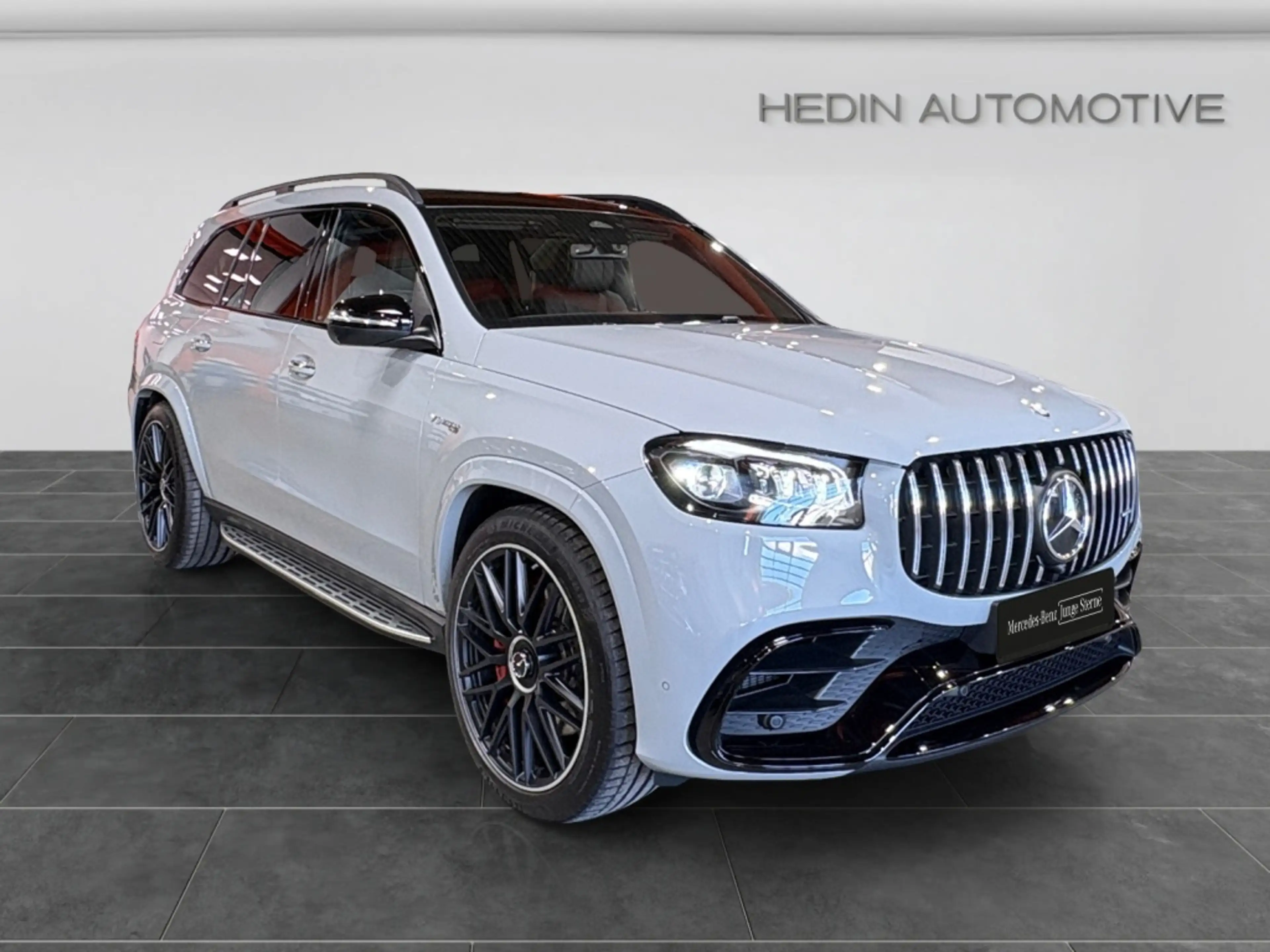 Mercedes-Benz GLS 63 AMG 4M+ NIGHT|DISTR|STHZ|PANO|360|7-Sitze — photo 8