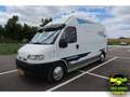 Citroen CITROEN Adria Camper,Zonnepanelen, revisie mo Wit - thumbnail 1
