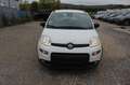 Fiat Panda City Life*Klima*PDC*SITZHEIZUNG*8 FACH BRE Weiß - thumbnail 2
