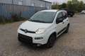 Fiat Panda City Life*Klima*PDC*SITZHEIZUNG*8 FACH BRE Weiß - thumbnail 18