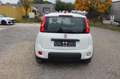 Fiat Panda City Life*Klima*PDC*SITZHEIZUNG*8 FACH BRE Weiß - thumbnail 6