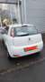 Fiat Grande Punto 1.2 8V Alb - thumbnail 4