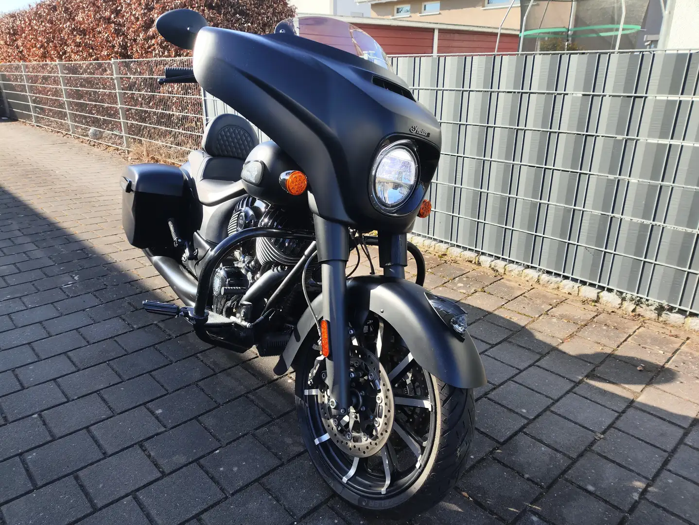 Indian Chieftain Dark Horse Negro - 1