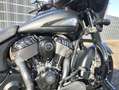 Indian Chieftain Dark Horse Negro - thumbnail 4