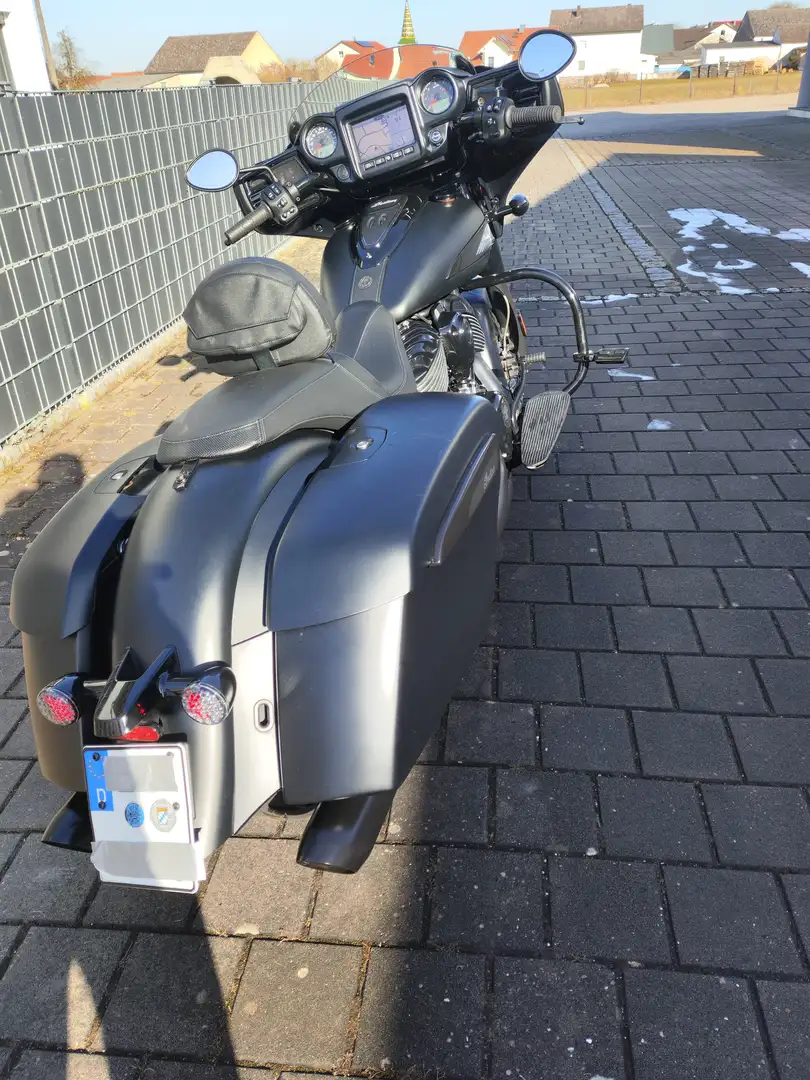 Indian Chieftain Dark Horse Negro - 2