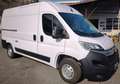 Citroen Jumper Citroen Jumper 2.2 35 L2H2 BlueHDi 140cv S&S Bianco - thumbnail 2