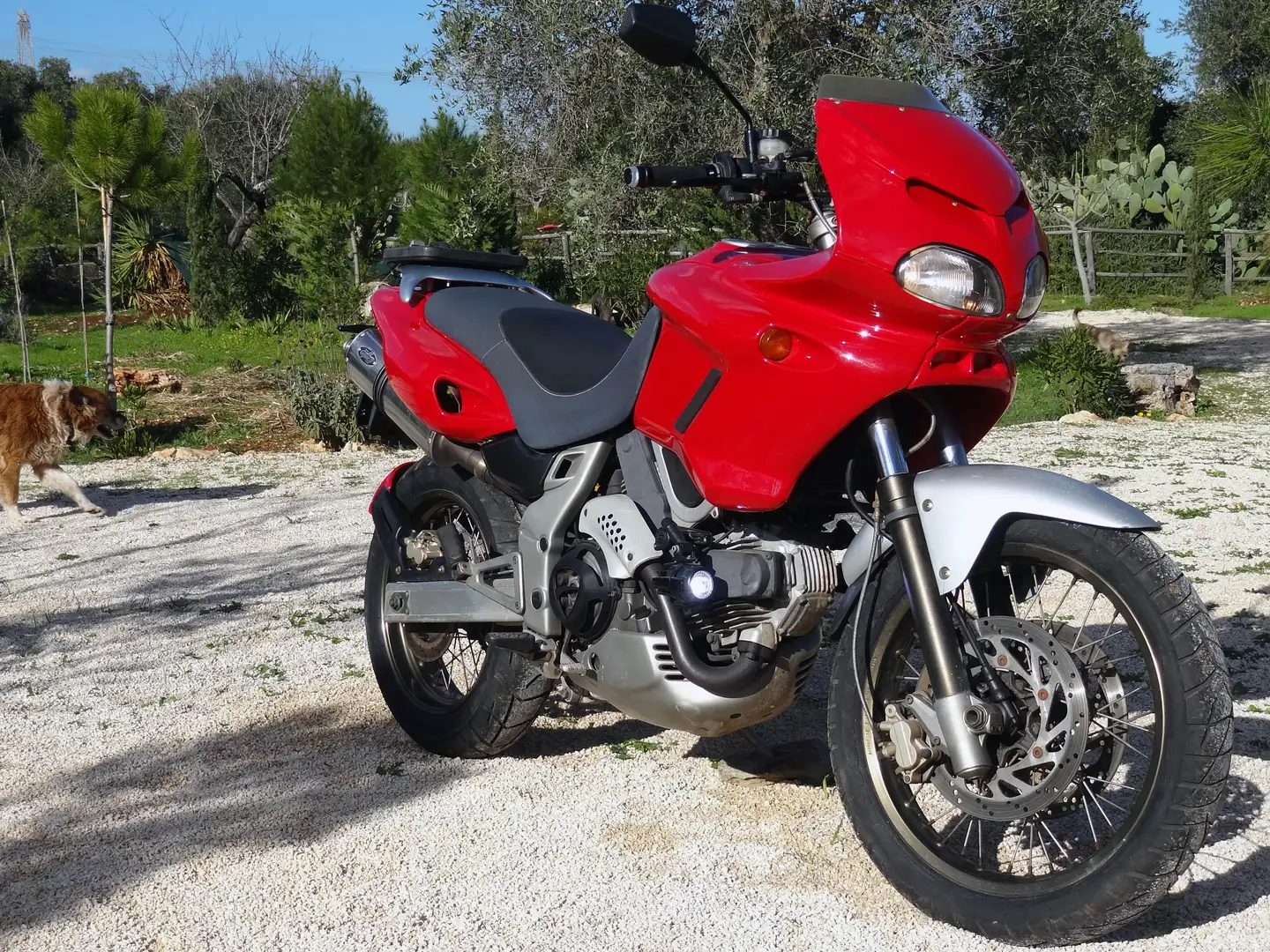Cagiva Gran Canyon 900 i.e. Ducatti SS Power Rosso - 1