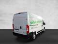 Opel Movano C Kasten L2H2 3,5t Edition BODEN KLIMA Blanc - thumbnail 5