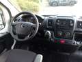 Opel Movano C Kasten L2H2 3,5t Edition BODEN KLIMA Blanc - thumbnail 10