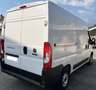 Fiat Ducato 2.2 140cv MH2 (L2H2) Bianco - thumbnail 3