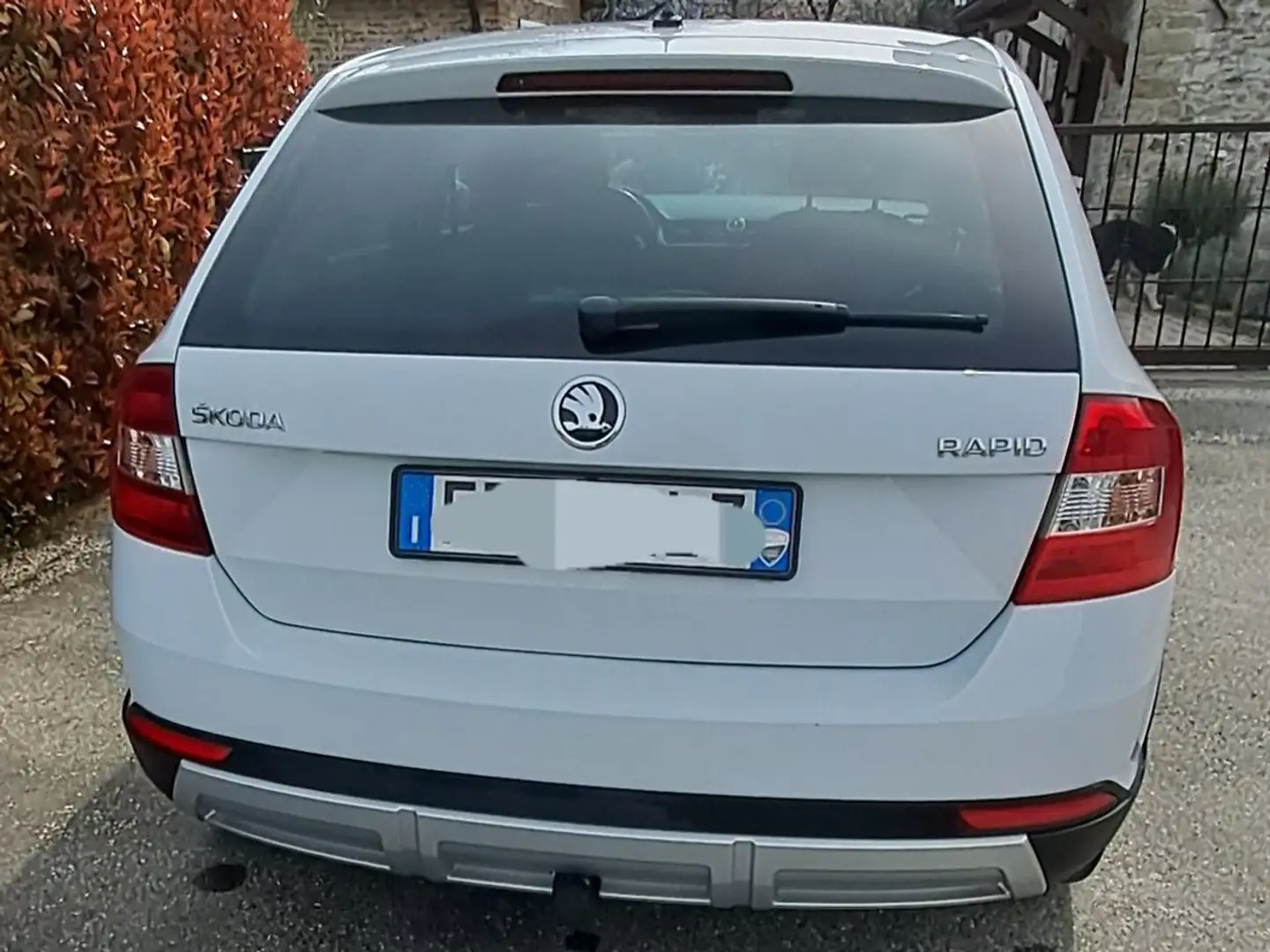 Skoda Rapid/Spaceback Rapid Spaceback 1.4 tdi Scoutline 90cv Bianco - 2