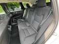 Volvo XC60 XC60 B4D Momentum Pro AWD *AHK-SHZ-Kamera-eHeck* Weiß - thumbnail 8