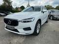 Volvo XC60 XC60 B4D Momentum Pro AWD *AHK-SHZ-Kamera-eHeck* Weiß - thumbnail 1