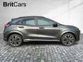 Ford Puma ST-Line X LED+Navi+Kamera+Winterpaket Gris - thumbnail 6