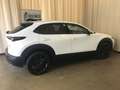 Mazda CX-30 CX-30 e-SKYACTIVE G 140 Aut. MAKOTO / MODELL 2027 Weiß - thumbnail 6