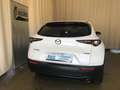 Mazda CX-30 CX-30 e-SKYACTIVE G 140 Aut. MAKOTO / MODELL 2027 Weiß - thumbnail 5