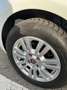 Fiat Punto Evo Punto Evo 5p 1.3 mjt Dynamic eco s Alb - thumbnail 15