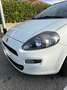 Fiat Punto Evo Punto Evo 5p 1.3 mjt Dynamic eco s Alb - thumbnail 14