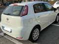 Fiat Punto Evo Punto Evo 5p 1.3 mjt Dynamic eco s Alb - thumbnail 5