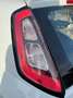 Fiat Punto Evo Punto Evo 5p 1.3 mjt Dynamic eco s Alb - thumbnail 13