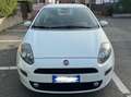 Fiat Punto Evo Punto Evo 5p 1.3 mjt Dynamic eco s Alb - thumbnail 2